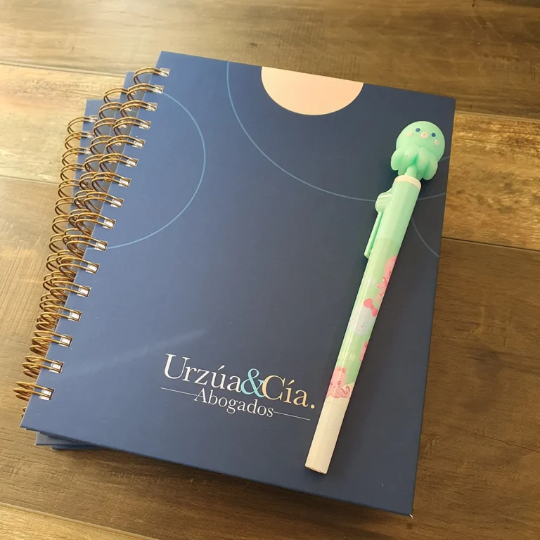 cuaderno paulina urzua